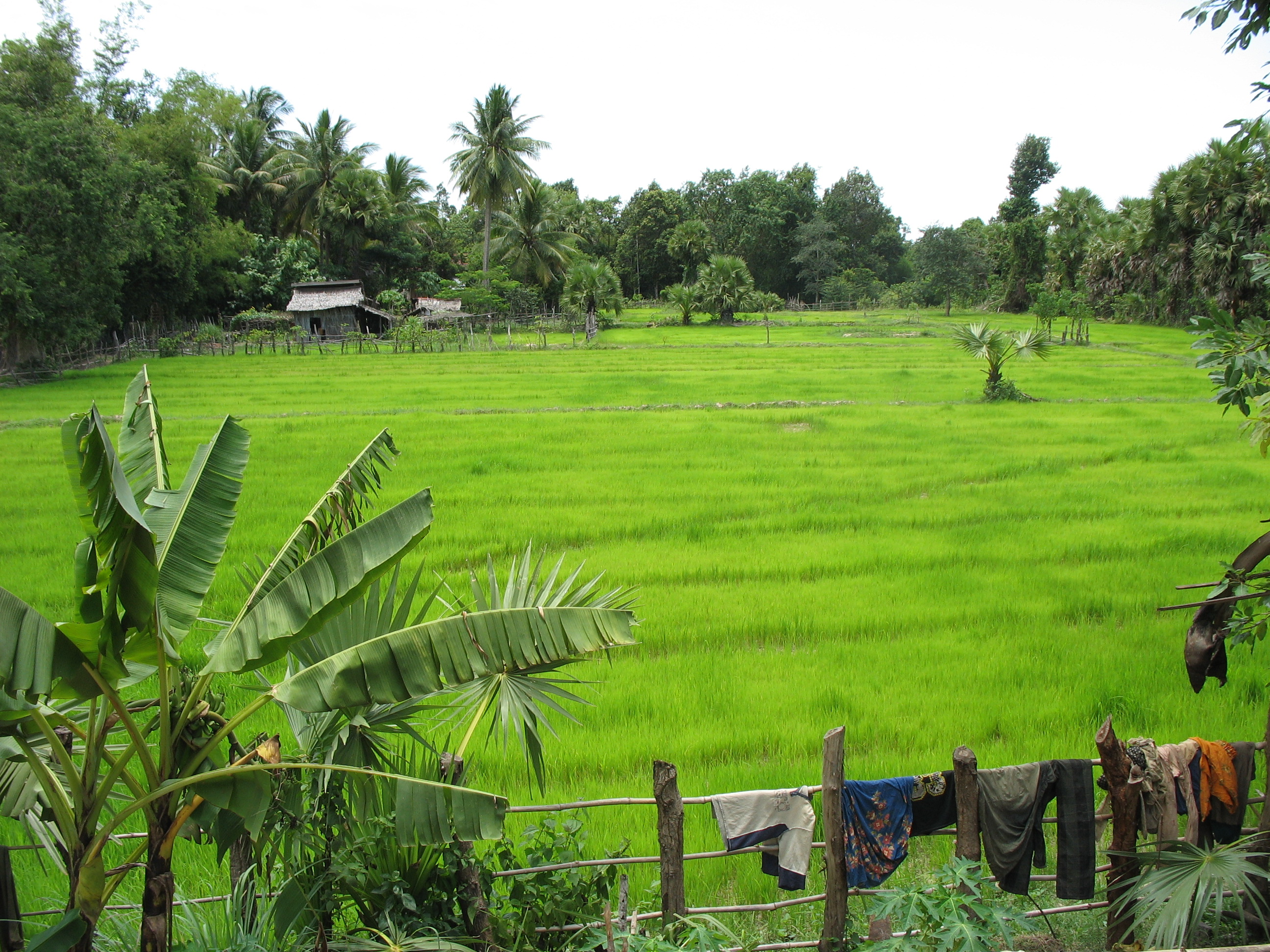 Prey Veng Economy